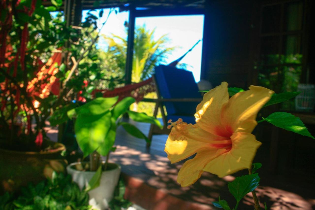 Villa Maree Praia de Pipa 外观 照片